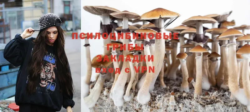 Галлюциногенные грибы Psilocybine cubensis  купить закладку  Уварово 